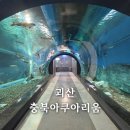 해남터널~옥천방향 | 괴산 충북 아쿠아리움 입장료 무료 네컷사진 실내 아이랑 가볼만한곳