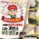 커브스 신곡클럽 이미지