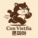 11650-1-10-582 | Mission #582 왜 지금, 왜 호치민 마라톤인가｜Con Vietfia의 사명