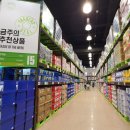 트레이더스 홀세일클럽 월평점 네이버블로그