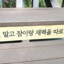 솥뚜껑부대찌개 이미지