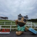 한국마사회 제주육성목장 동물병원 이미지