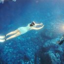 투어비스타 이미지