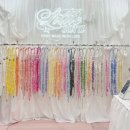 Sara pet (사라펫) | LITTLE SARA 리틀사라 강아지 목줄, 리쉬 세트 내돈내산 후기🎀