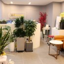 금강보청기 이미지