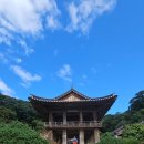 부석사삼층석탑 | 가볼만한곳#세계문화유산#부석사#일주문#당간지주#천왕문#부석사삼층석탑#범종루#응향각#안양루...