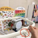 베베온 | 베베온트립 타는캐리어 내돈내산 구매후기 (마이크로러기지와 고민)