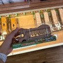 백호목장 | 벳부 사파리파크 렌트카 입장 방법·요금·후기 총정리