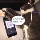 예플리 이미지