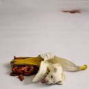 오감디자인 이미지