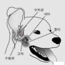 기장동물약국 이미지