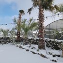 다솜스테이 이미지