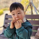밀알어린이집 - 부여군 | 밀알어린이집