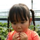 해피차일드어린이집 이미지