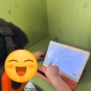 안중늘푸른 이미지