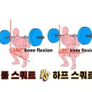 퍼팩트핏짐 이미지