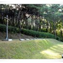 피앗농장 Daum카페