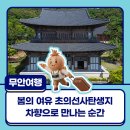 초의선사탄생지 조선차역사박물관 | 봄의 여유 〈초의선사탄생지〉 차향으로 만나는 순간