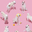 신반포로43길 10 이미지