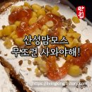 커피와야 | 남한산성 산성맘모스 – 블루베리 맘모스빵, 이건 무조건 사와야 해요