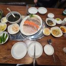 서울 목동 맛집 속초오징어어시장 솔직후기 신선한 회 추천
