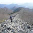 금강산축산 - 동구 대전로 786-1 | 금강산축산