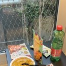 오스트리아 비엔나_쇤부른 궁전 투어 &amp; 슈니첼 맛집-!