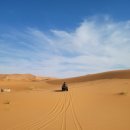 사하라관광호텔 | 모로코 여행, 사하라 사막 투어 후기