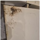 이끌림케어 이미지