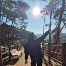 임경대 | 2025년 1월, 임경대 후기 주차장/ 옷차림 추천/양산 가볼만한곳