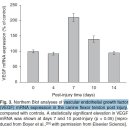 The Roles of Growth Factors in Tendon and Ligament Healing - PRP가 효과적인 이유!! 이미지