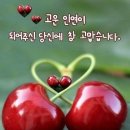정감이 이미지