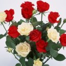 굿데이편의점 이미지