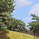 건축사사무소벗 이미지