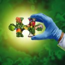 아레나휘트니스 이미지