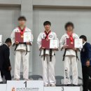 백제무도스쿨(성연도장) 이미지