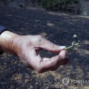 기곡 경로당 이미지