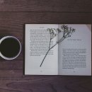 [1급과정] 문학심리상담사 1급 이미지