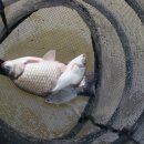 내사는이야기 이미지