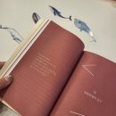 신주영 티스토리