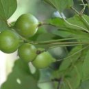 동의기념비 이미지