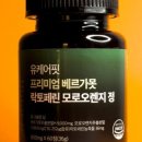 유케어핏