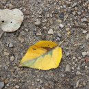 째즈당구장 이미지