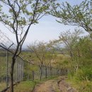 노루생태관찰원 이미지