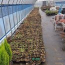 김종운농장 이미지