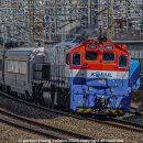 호남고속철도광주차량기지 | 고속철도 교차운행으로 인해 한국철도공사 경부선 구간에 방문한 SRT [2026.02.25]