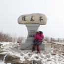 소백산 칼바람에도 견디었지만 결국 찢어진 내 가슴... (170121 소백산 정기산행) 이미지