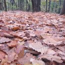 을지세탁소 이미지