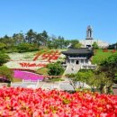 능주초등학교 이미지