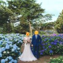 #주간일기- 12월 2주: 본식 사진 셀렉 (+제주 스냅사진 최종본 받기/ 결혼식 영상 확인)